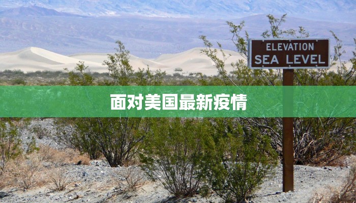 面对美国最新疫情
