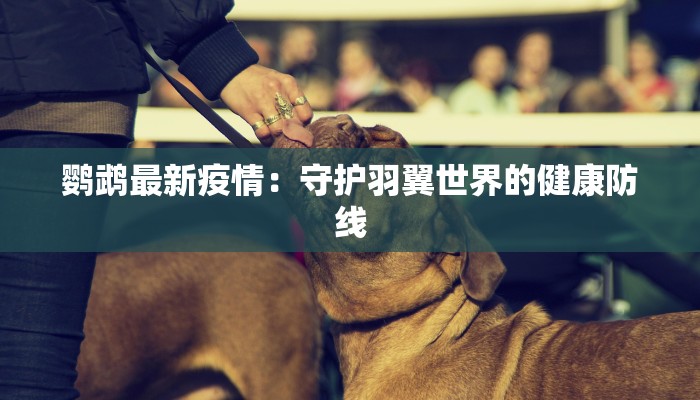 鹦鹉最新疫情：守护羽翼世界的健康防线