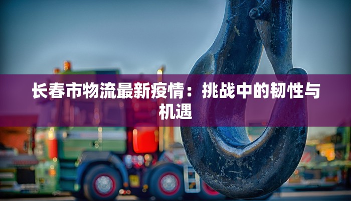 长春市物流最新疫情：挑战中的韧性与机遇