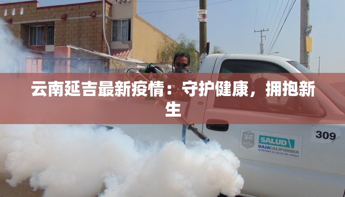 云南延吉最新疫情：守护健康，拥抱新生