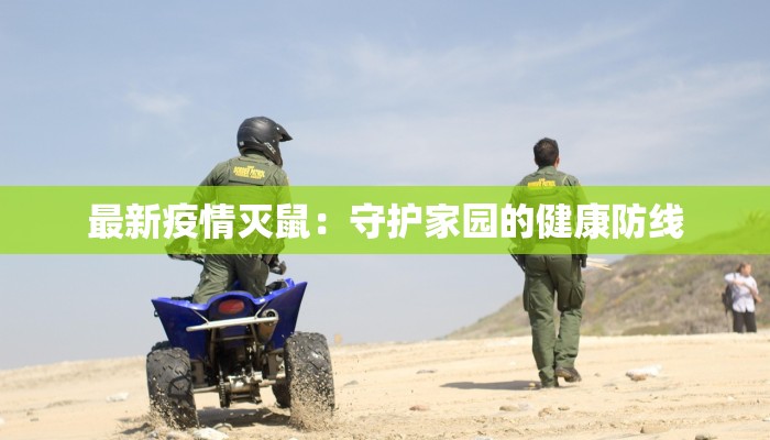 最新疫情灭鼠：守护家园的健康防线