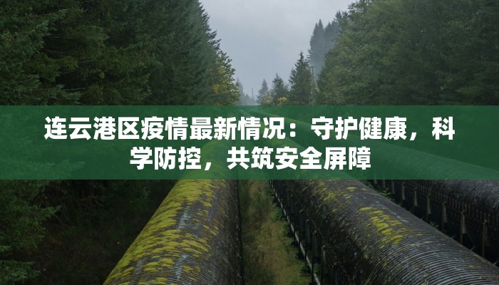 连云港区疫情最新情况：守护健康，科学防控，共筑安全屏障