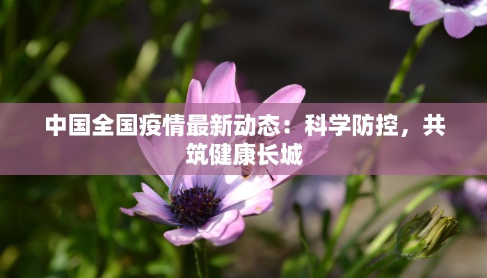 中国全国疫情最新动态：科学防控，共筑健康长城