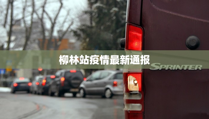 柳林站疫情最新通报