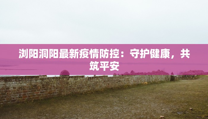 浏阳洞阳最新疫情防控：守护健康，共筑平安