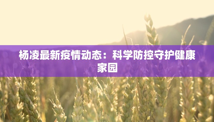 杨凌最新疫情动态：科学防控守护健康家园