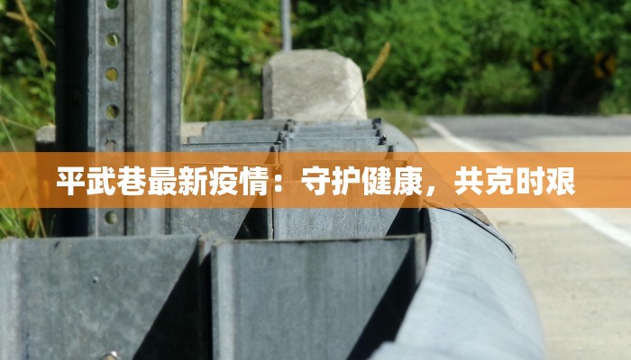 平武巷最新疫情：守护健康，共克时艰