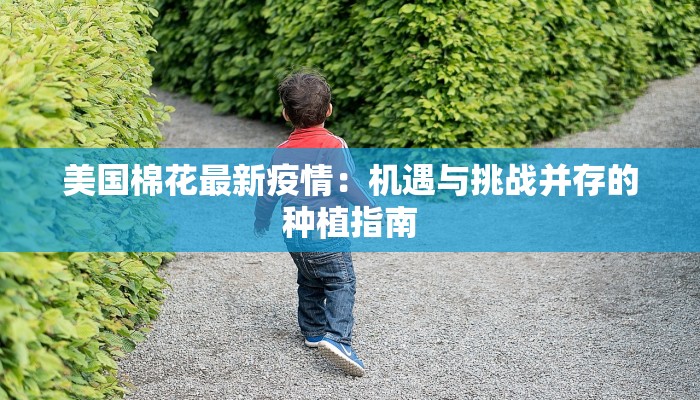 美国棉花最新疫情：机遇与挑战并存的种植指南