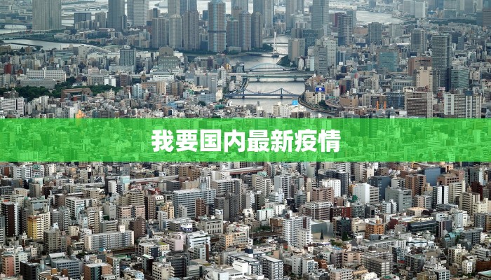 我要国内最新疫情