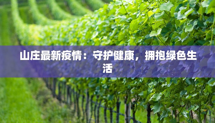 山庄最新疫情：守护健康，拥抱绿色生活