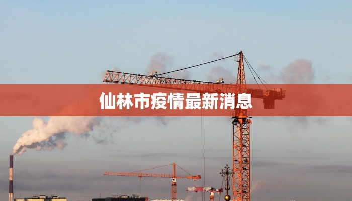 仙林市疫情最新消息