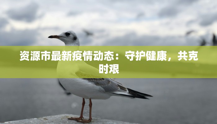 资源市最新疫情动态：守护健康，共克时艰
