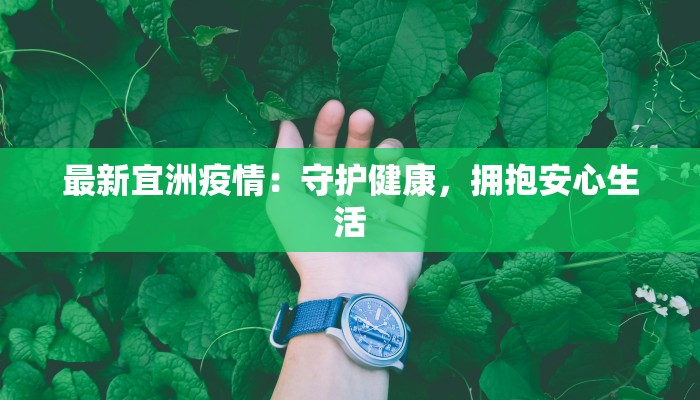 最新宜洲疫情：守护健康，拥抱安心生活
