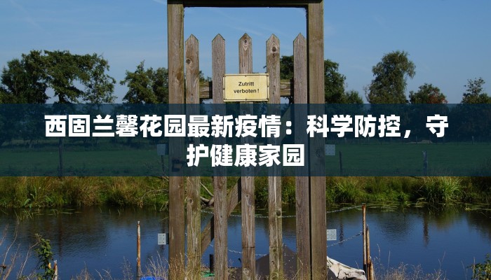 西固兰馨花园最新疫情：科学防控，守护健康家园