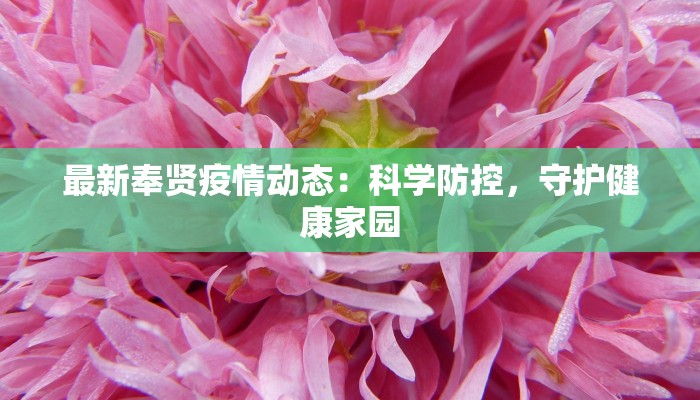 最新奉贤疫情动态：科学防控，守护健康家园