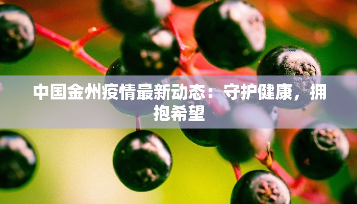 中国金州疫情最新动态：守护健康，拥抱希望