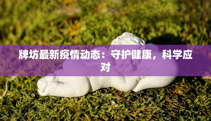 牌坊最新疫情动态：守护健康，科学应对