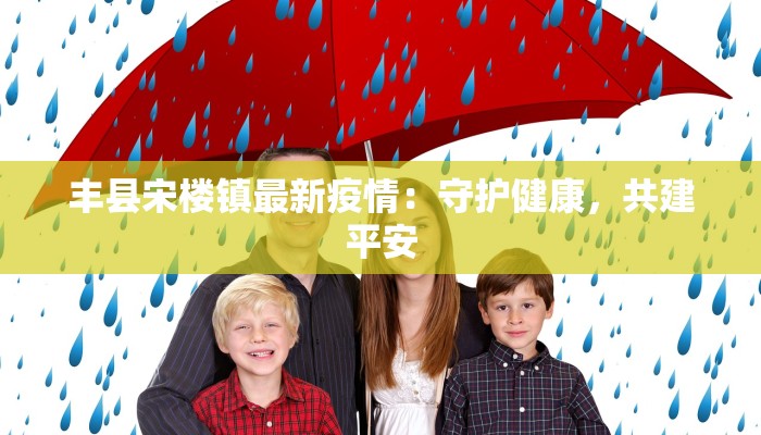 丰县宋楼镇最新疫情：守护健康，共建平安