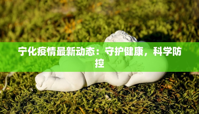 宁化疫情最新动态：守护健康，科学防控