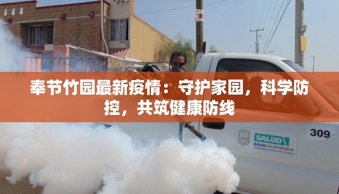 奉节竹园最新疫情：守护家园，科学防控，共筑健康防线