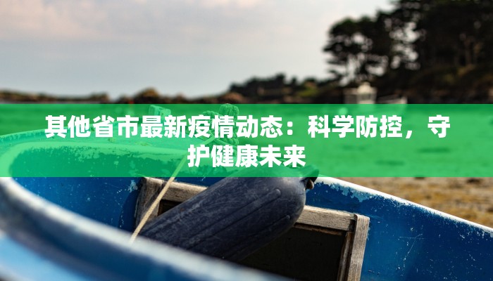 其他省市最新疫情动态：科学防控，守护健康未来