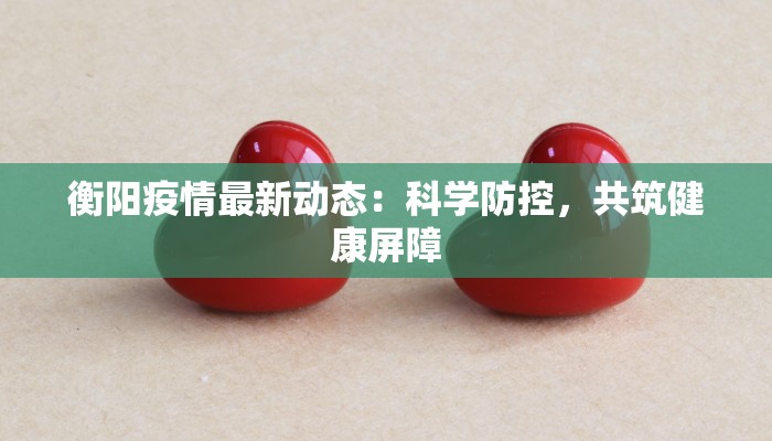 衡阳疫情最新动态：科学防控，共筑健康屏障