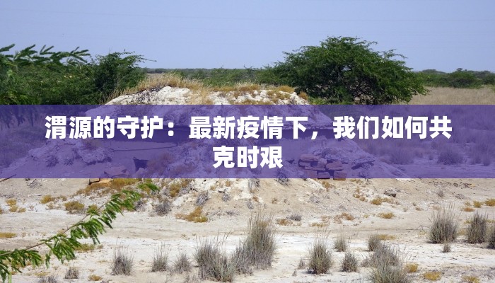 渭源的守护：最新疫情下，我们如何共克时艰