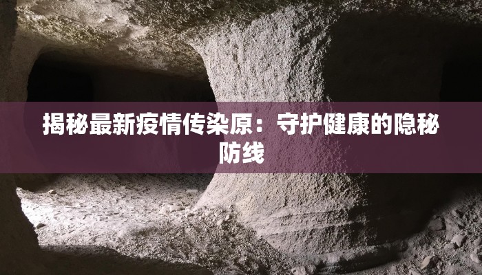 揭秘最新疫情传染原：守护健康的隐秘防线