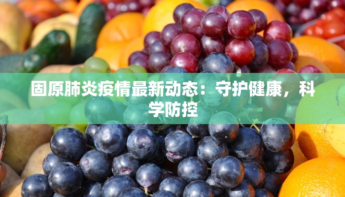 固原肺炎疫情最新动态：守护健康，科学防控