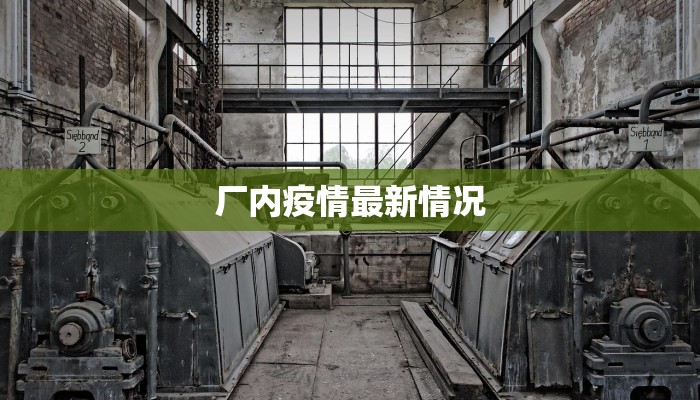 厂内疫情最新情况