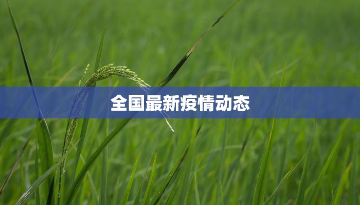 全国最新疫情动态