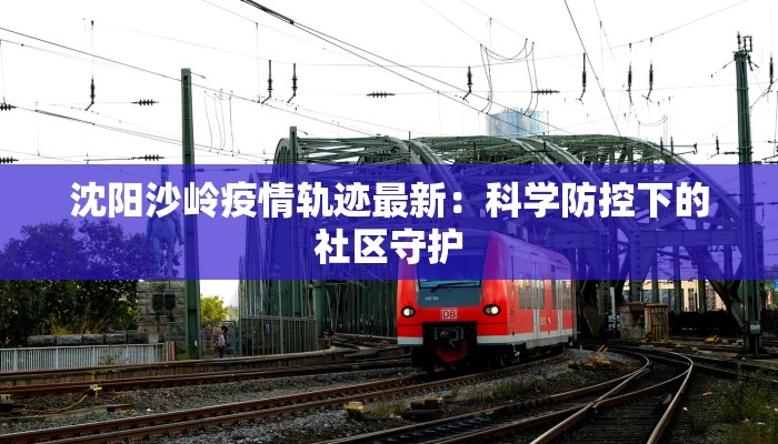 沈阳沙岭疫情轨迹最新：科学防控下的社区守护
