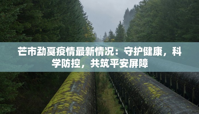 芒市勐戛疫情最新情况：守护健康，科学防控，共筑平安屏障