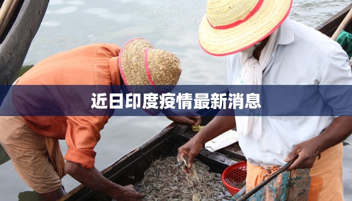近日印度疫情最新消息