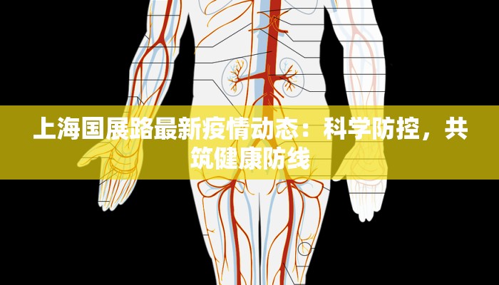 上海国展路最新疫情动态：科学防控，共筑健康防线
