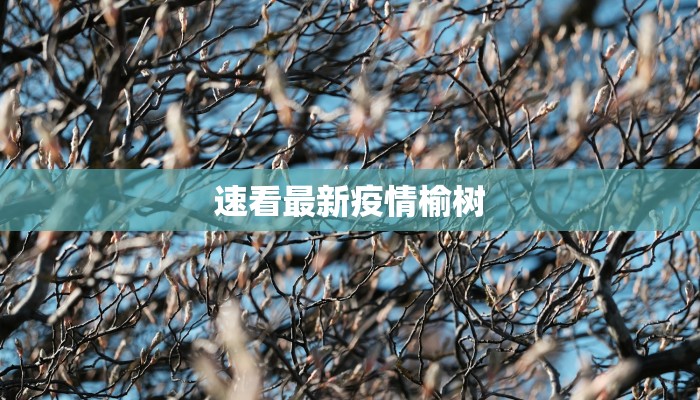 速看最新疫情榆树