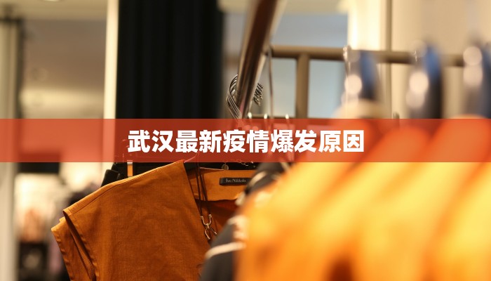武汉最新疫情爆发原因