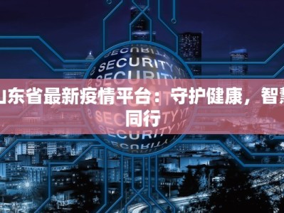 山东省最新疫情平台：守护健康，智慧同行