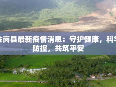 金岗县最新疫情消息：守护健康，科学防控，共筑平安