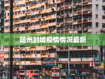 随州封城疫情情况最新