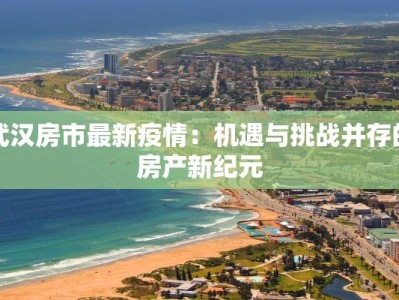 武汉房市最新疫情：机遇与挑战并存的房产新纪元