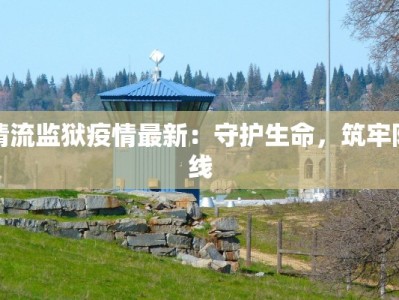 最新禽流疫情：警惕与应对的智慧指南