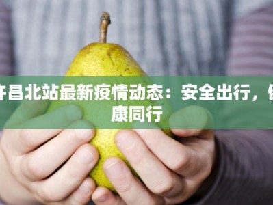 许昌北站最新疫情动态：安全出行，健康同行