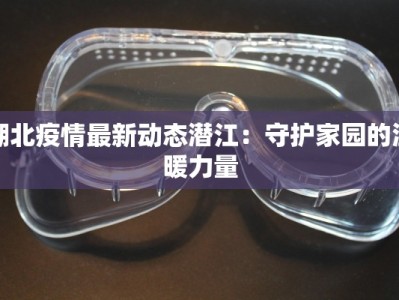 湖北疫情最新动态潜江：守护家园的温暖力量