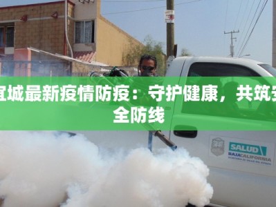 宜城最新疫情防疫：守护健康，共筑安全防线