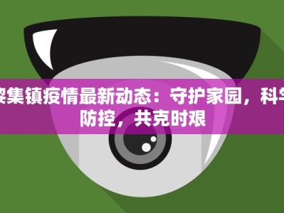 黎集镇疫情最新动态：守护家园，科学防控，共克时艰