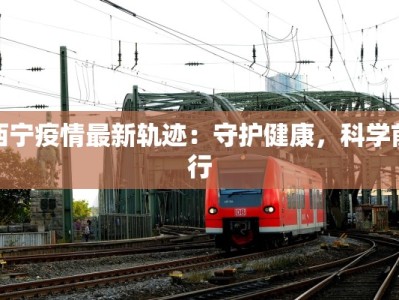 西宁疫情最新轨迹：守护健康，科学前行