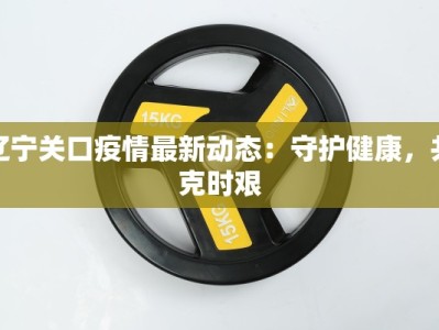 辽宁关口疫情最新动态：守护健康，共克时艰