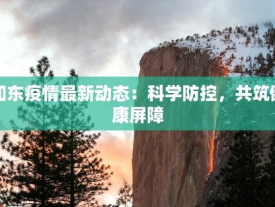 如东疫情最新动态：科学防控，共筑健康屏障