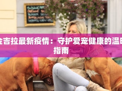 金吉拉最新疫情：守护爱宠健康的温暖指南
